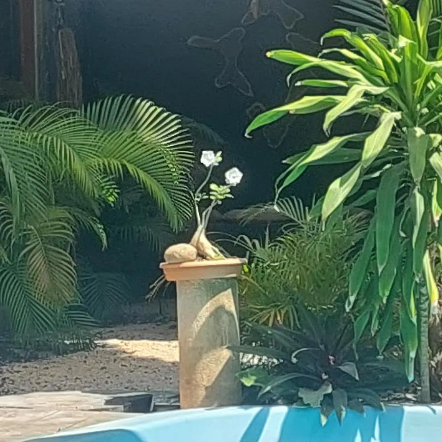 Studio 11 Hotel Tulum